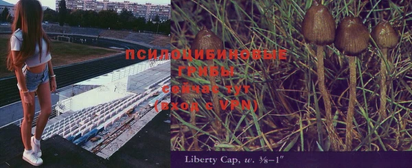 шишки Алзамай