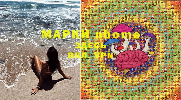 шишки Алзамай