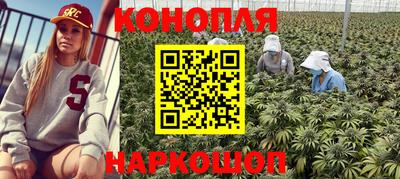 шишки Малгобек