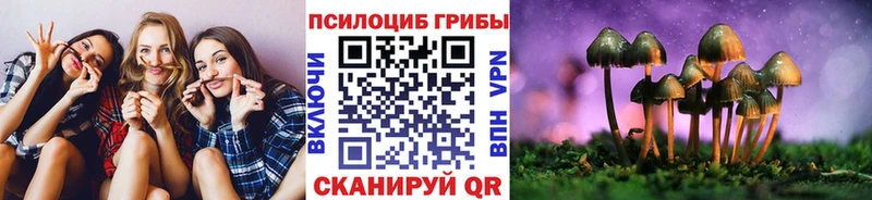Галлюциногенные грибы мухоморы  Кинель 